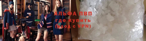прущие грибы Лиски