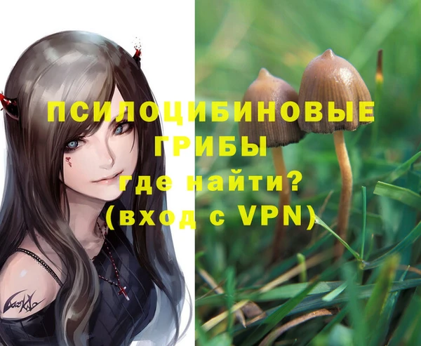 тгк Алексин